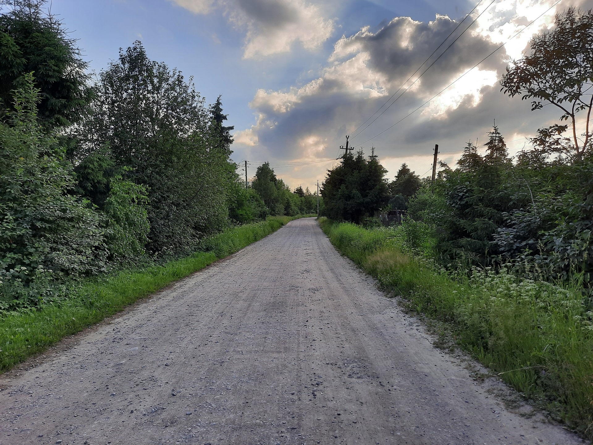 Дорога в посёлке Медное