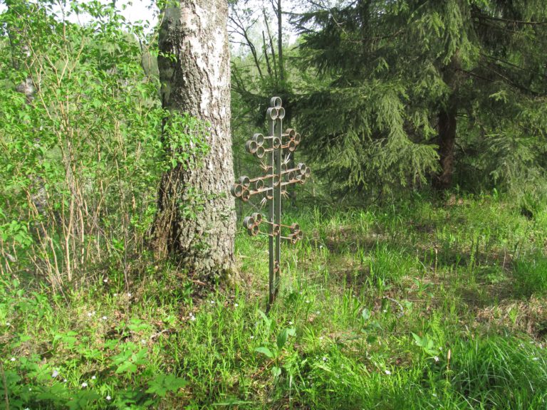 все-что-осталось-от-старого-чухонского-кладбища-4
